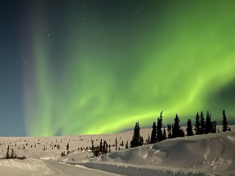 Watching the Northern Lights Dance in Fairbanks