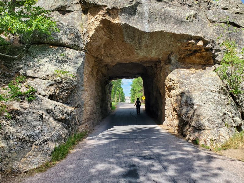 Peter Norbeck Scenic Byway