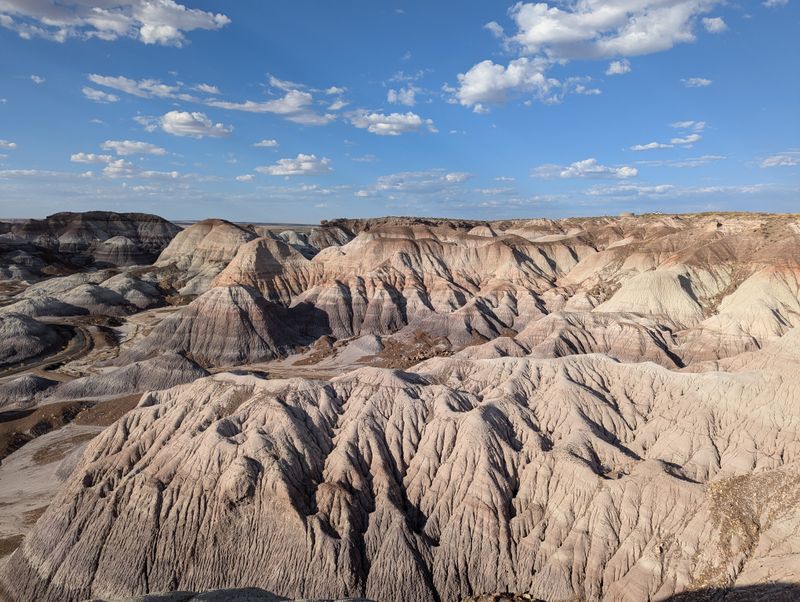 Petrified Forest National Park & Painted Desert