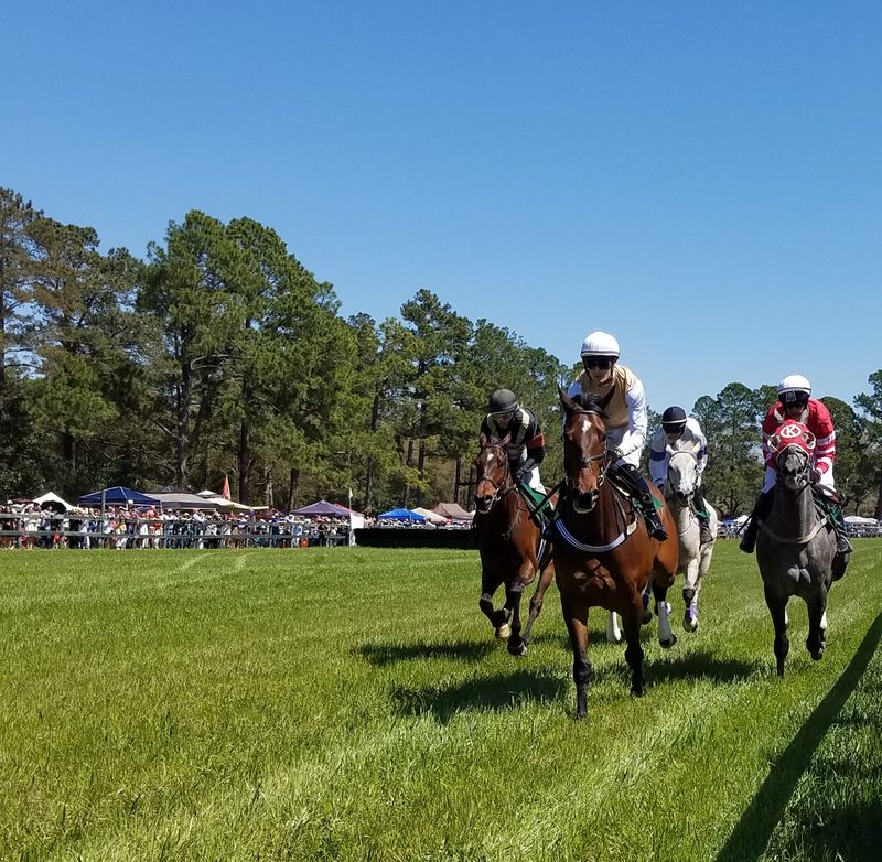 Aiken’s Horse Country Charm Enhanced by Crisp Winter Air