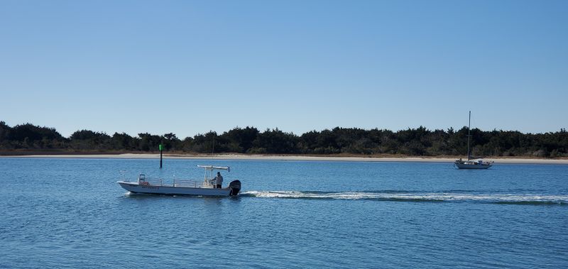 Take a Boat Tour on Taylor’s Creek
