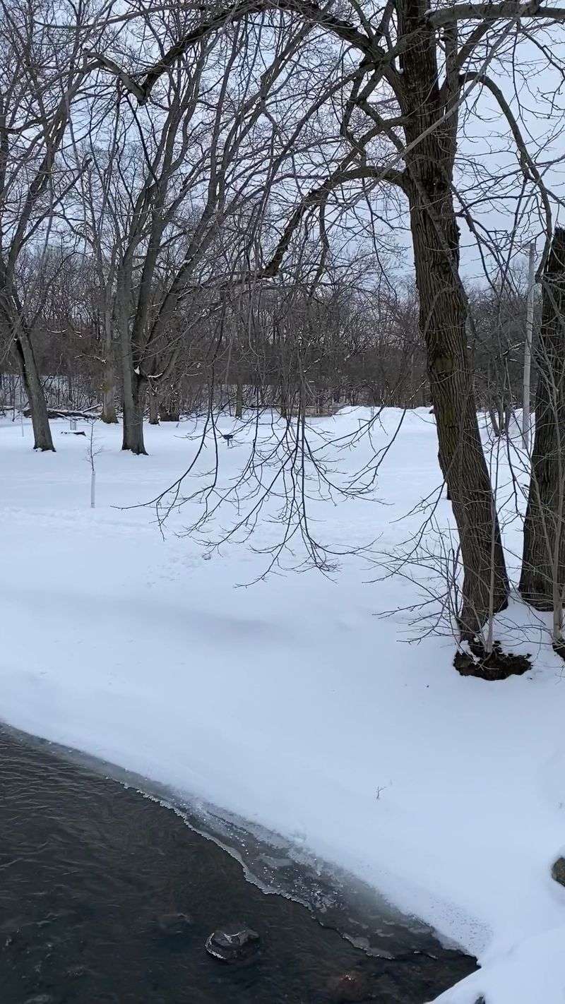 Covered Bridge Winter Walks
