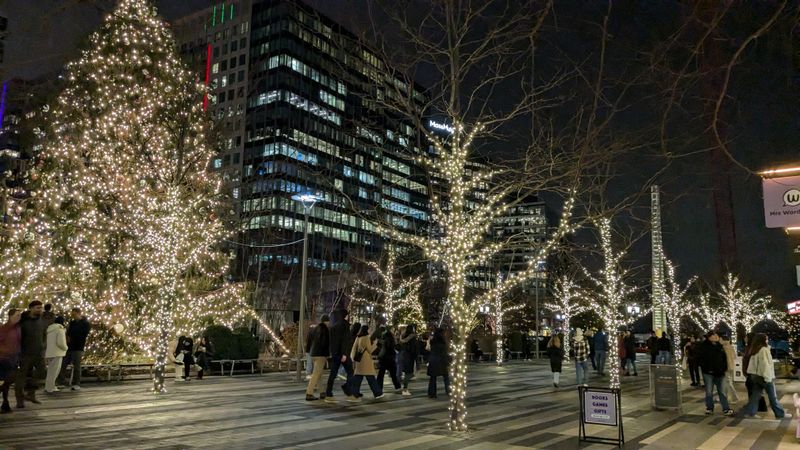 Live Entertainment That Sets the Mood