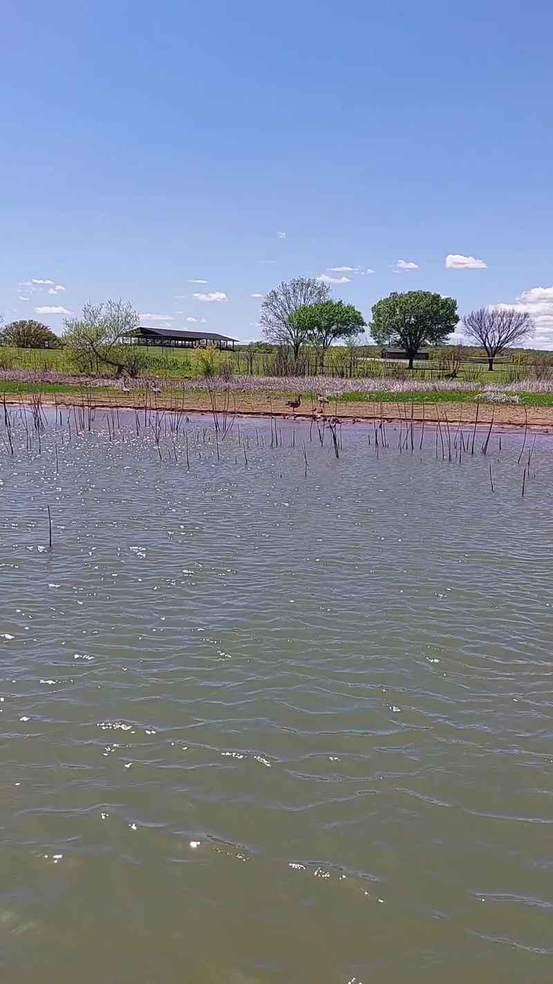 Accommodations Range From Rustic to Luxurious