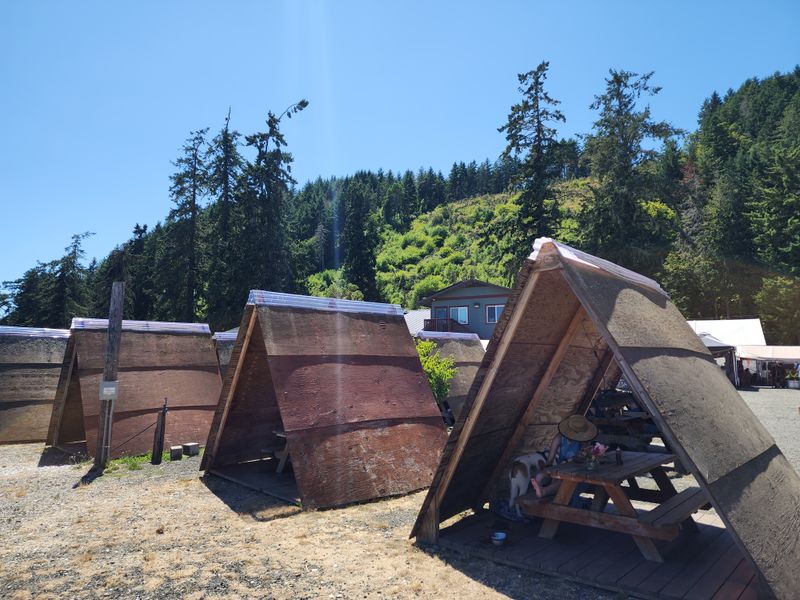 Oysters Every Way You Can Imagine