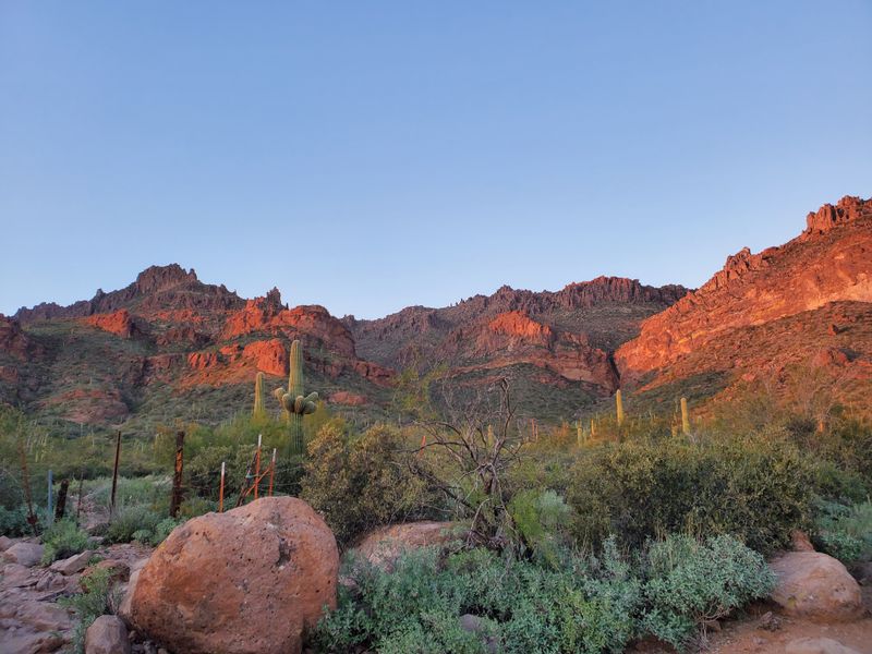 Trailhead basics and first steps