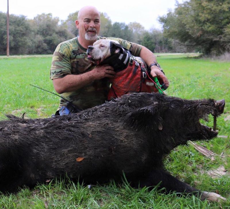 Wild Game Feed and Raffle in Luana