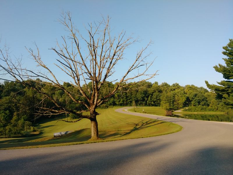 Harrison County Quiet Corners near Scio and Cadiz