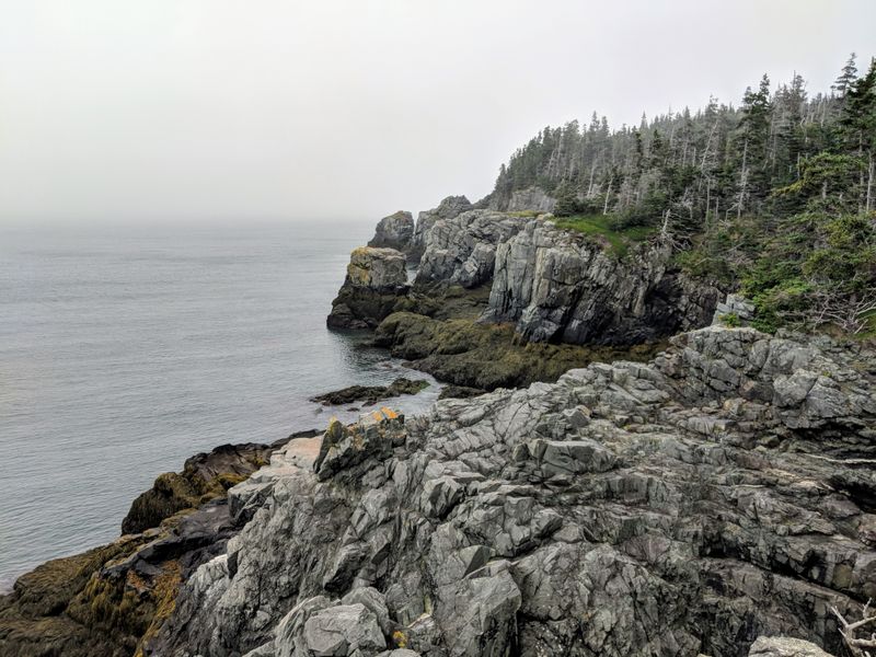 Quoddy Head State Park Trails and Views