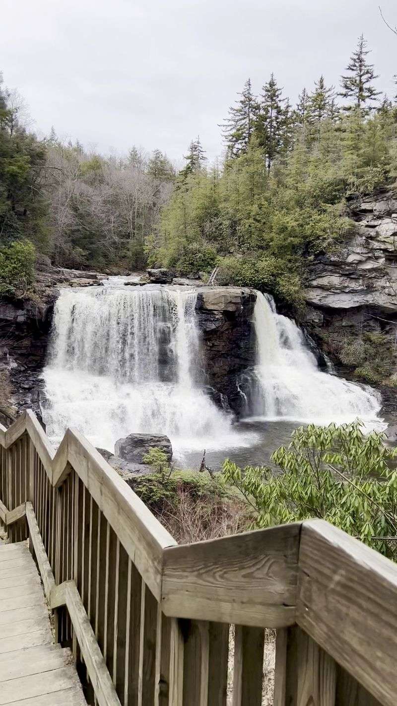 Blackwater Falls – Blackwater Falls State Park
