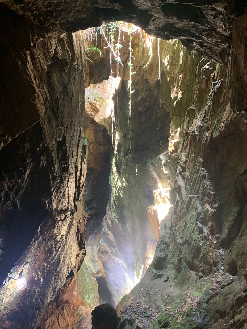 America's First Major Gold Rush