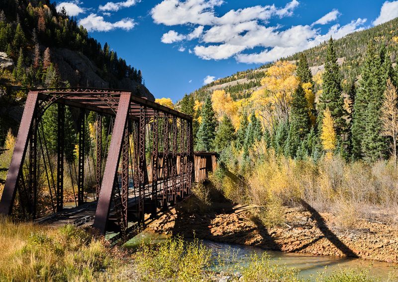 Scenic Moments Worth Looking Up From Your Book