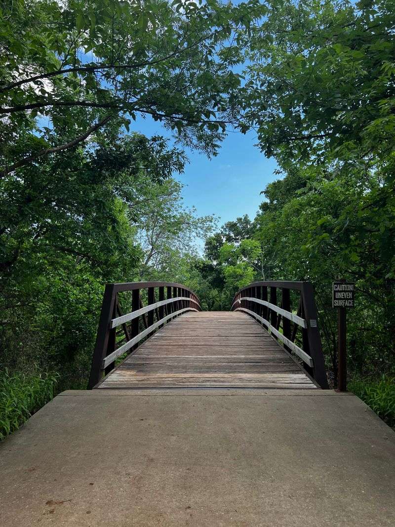 Embrace Free Nature At Martin Park Nature Center