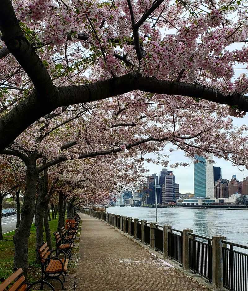 Neighboring parks and quiet corners