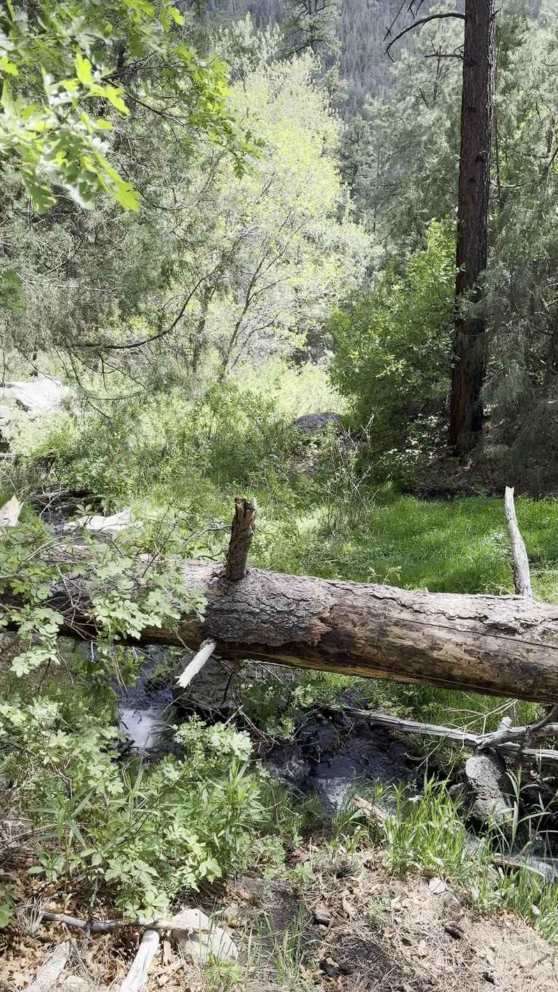 Respecting closures and current info