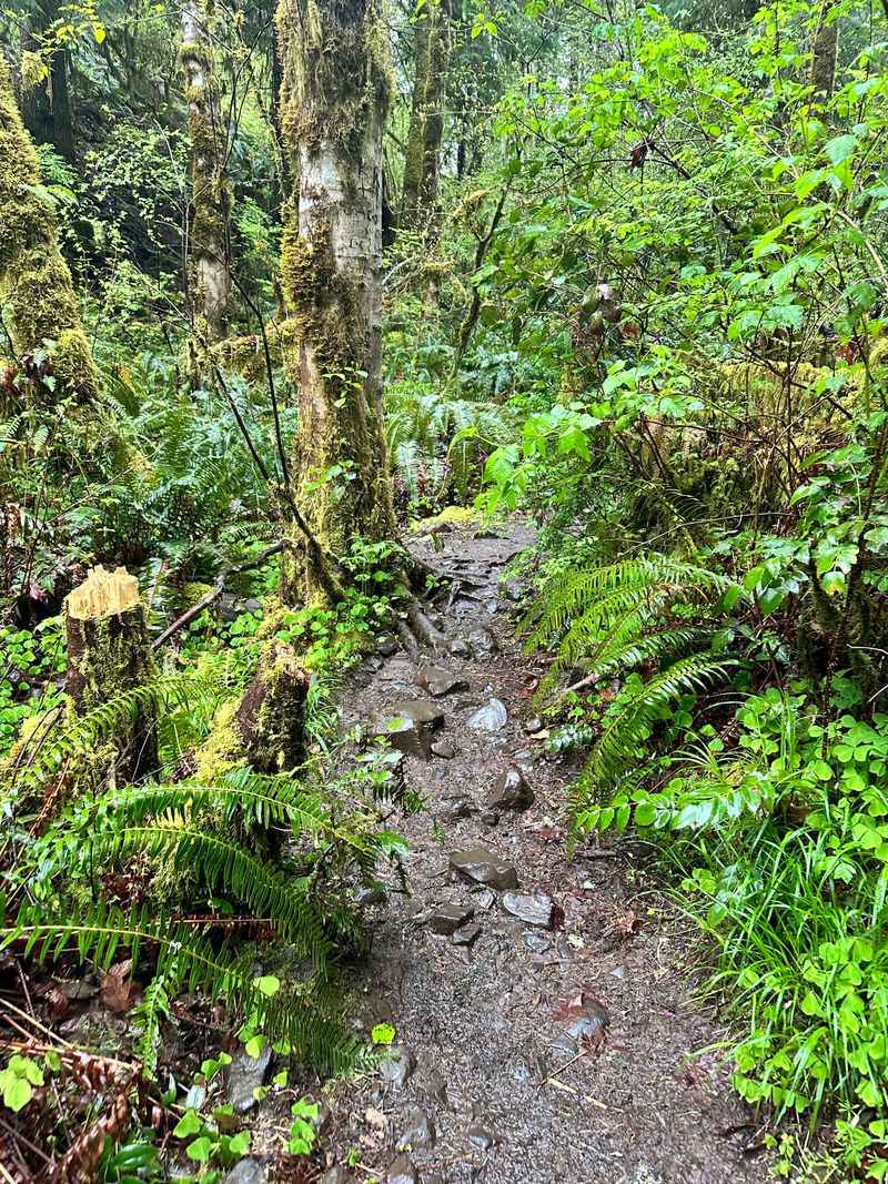 Respecting access and stewardship