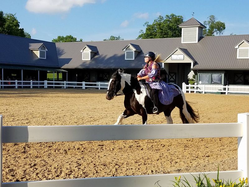 When Visitors Get It Right