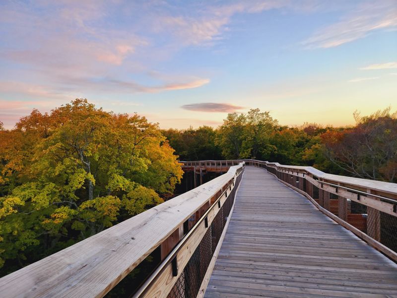 Peninsula State Park's Tranquil Trails