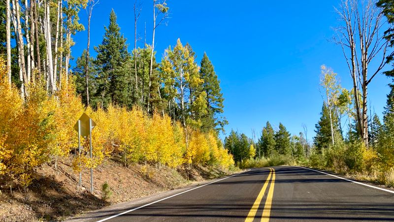 Coronado Trail Scenic Byway
