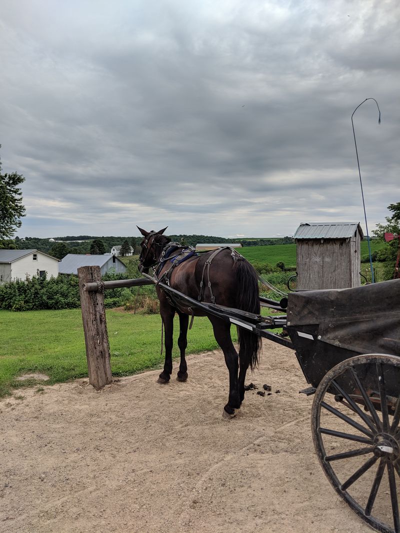 Cashton and Ontario Amish Settlements, Driftless ridgelines