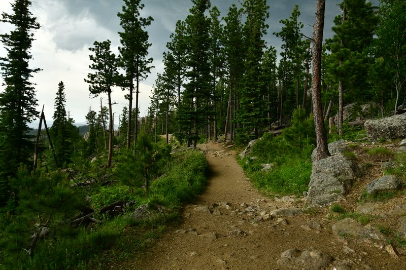 Trail basics you actually need