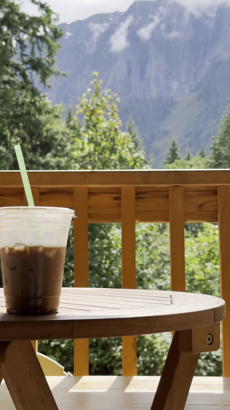 Forest Views That Frame a Calm Morning Ritual