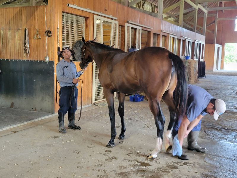 When Posts Reveal Too Much