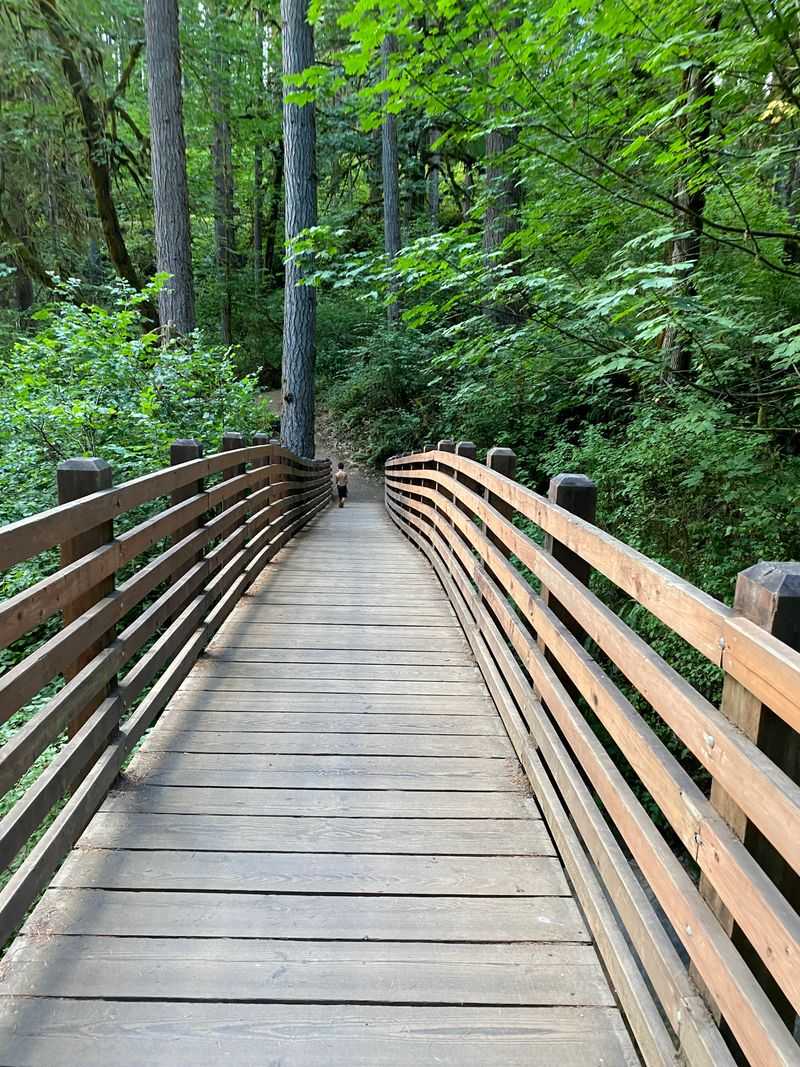 Seclusion and Quiet Along McDowell Creek Dr