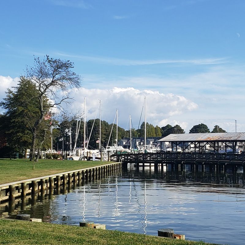 Harbor Mornings on Miles River