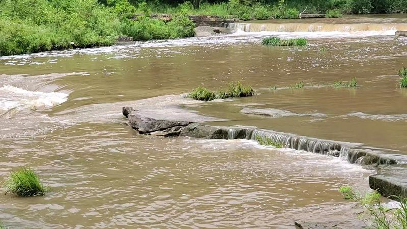 Harmful Algal Blooms Threaten Water Safety