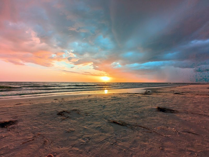 Honeymoon Island State Park Offers Untouched Coastal Beauty