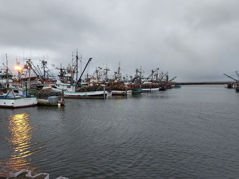 A Harbor Town Built on Tide and Timing