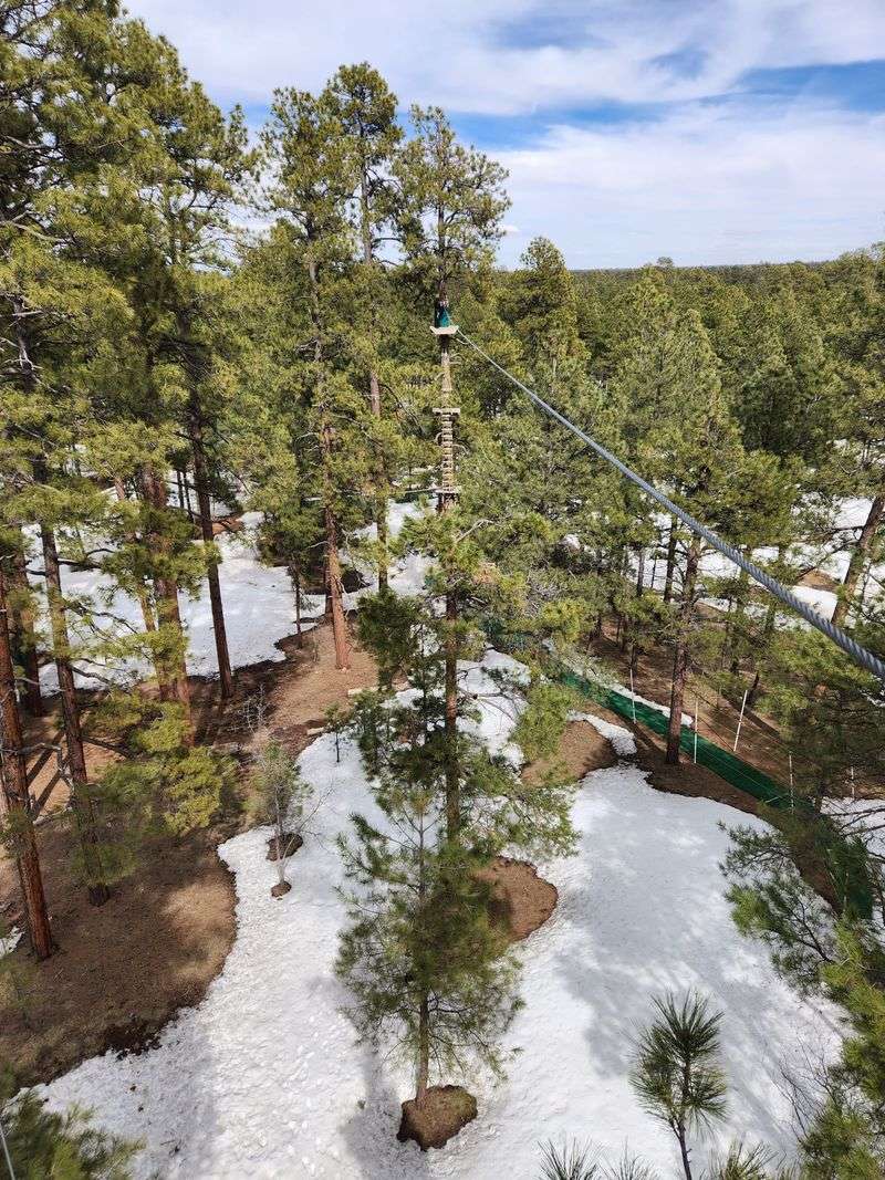 Flagstaff: The Mountain Adventurer