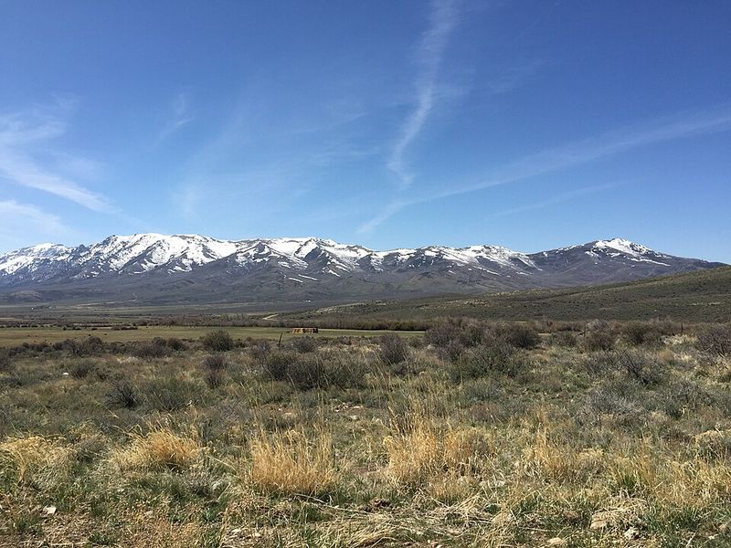 Seasonal Transformations of the Valley