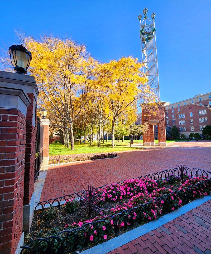 Traffic Congestion Choked Coastal Roads