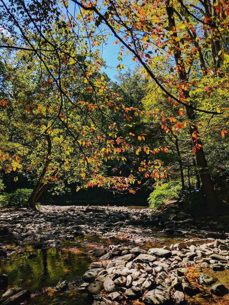 Year-Round Beauty and Seasonal Transformations