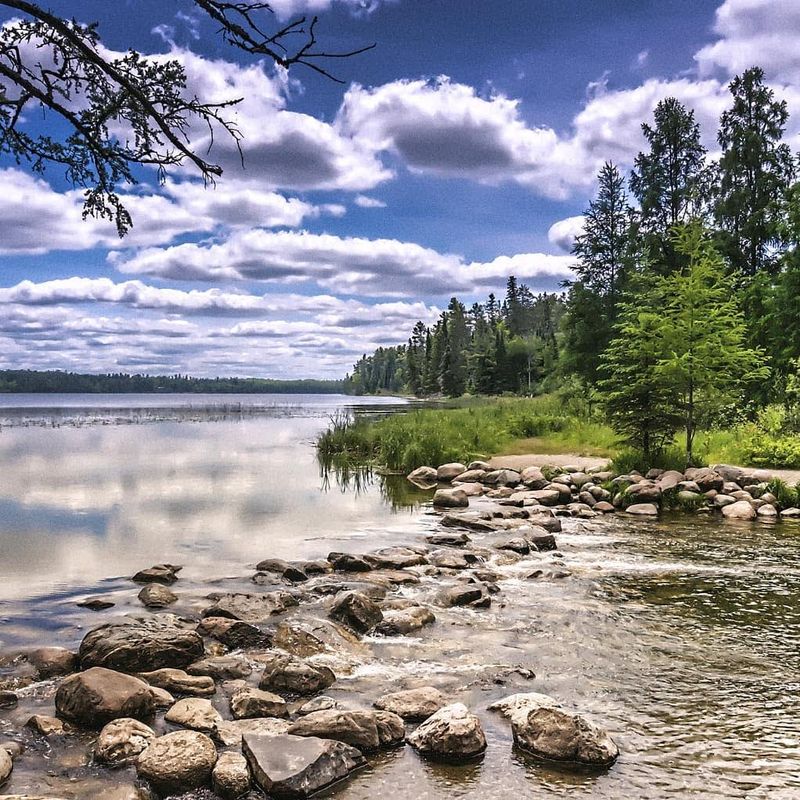Stargazing and Winter Night Sky