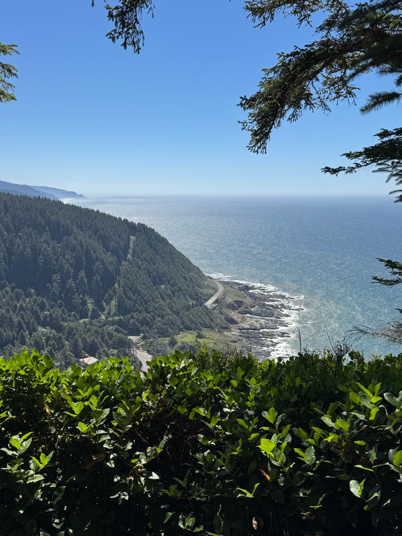 Siuslaw National Forest Cape Perpetua Scenic Area