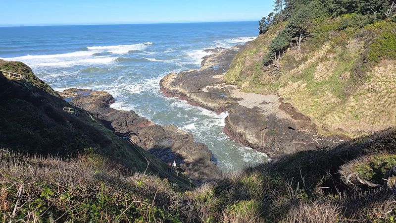 Siuslaw National Forest