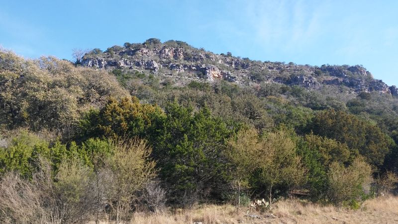 Twisted Sisters (RM 335, 336, 337)