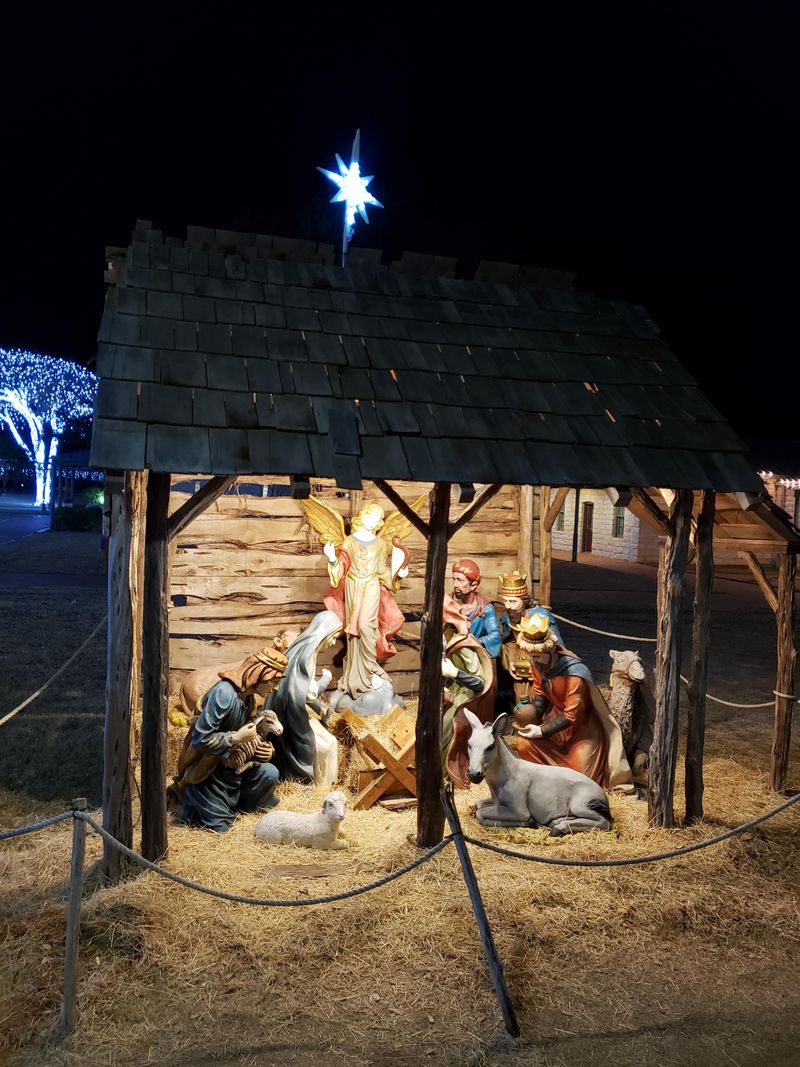 Enchanted Christmas at Wildseed Farms