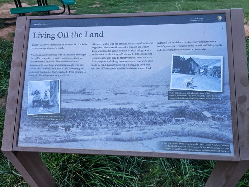 Authentic Local Taste