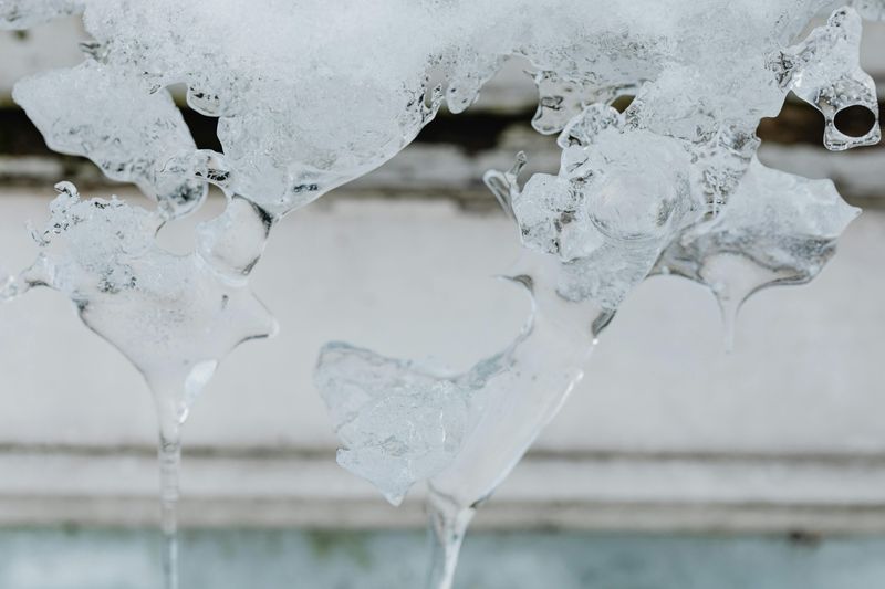 Ice Sculptures On The Sidewalk