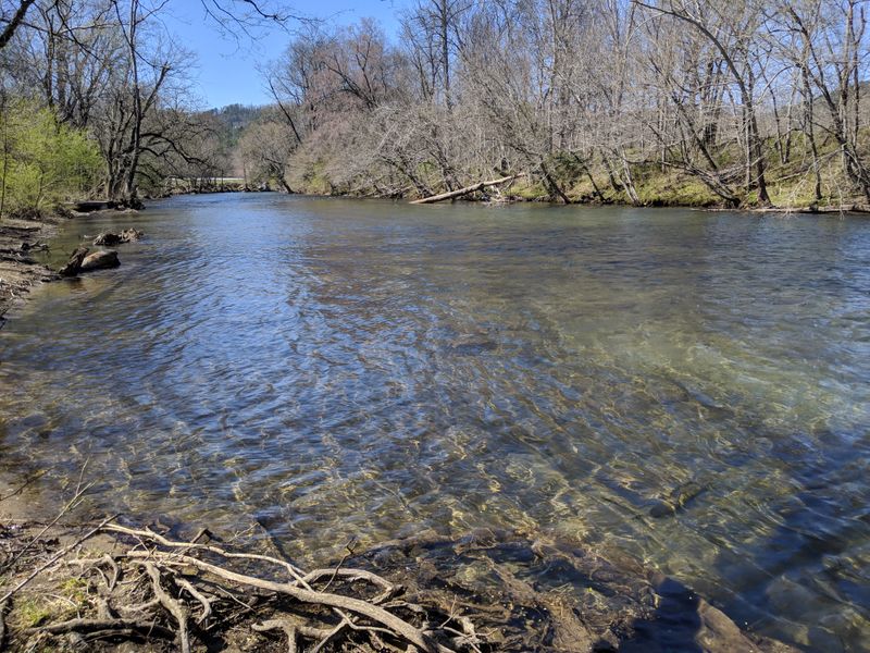 Fly Fishing in Cold Waters
