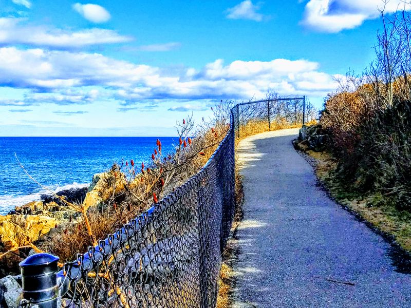 A Seaside Path Carved Directly Into the Cliffs