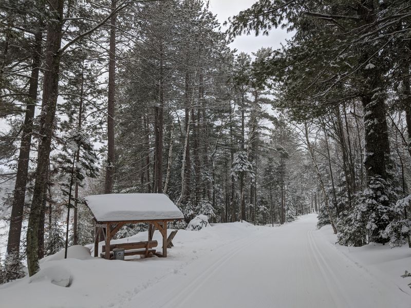 Cross-Country Skiing Through Endless Trails