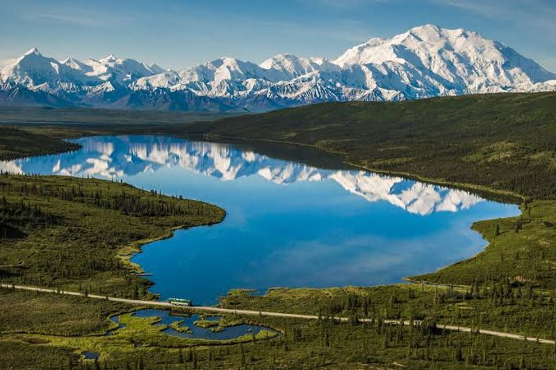 Denali National Park, Mountain Vista Area, Park Rd, Denali Park, AK 99755