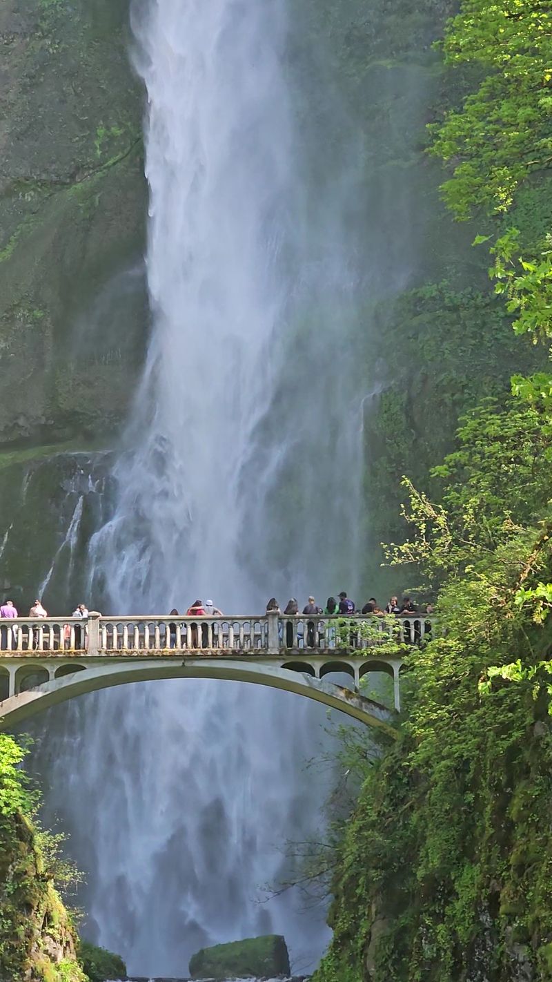 Waterfall Chasing in the Columbia River Gorge, Multnomah Falls OR 97019