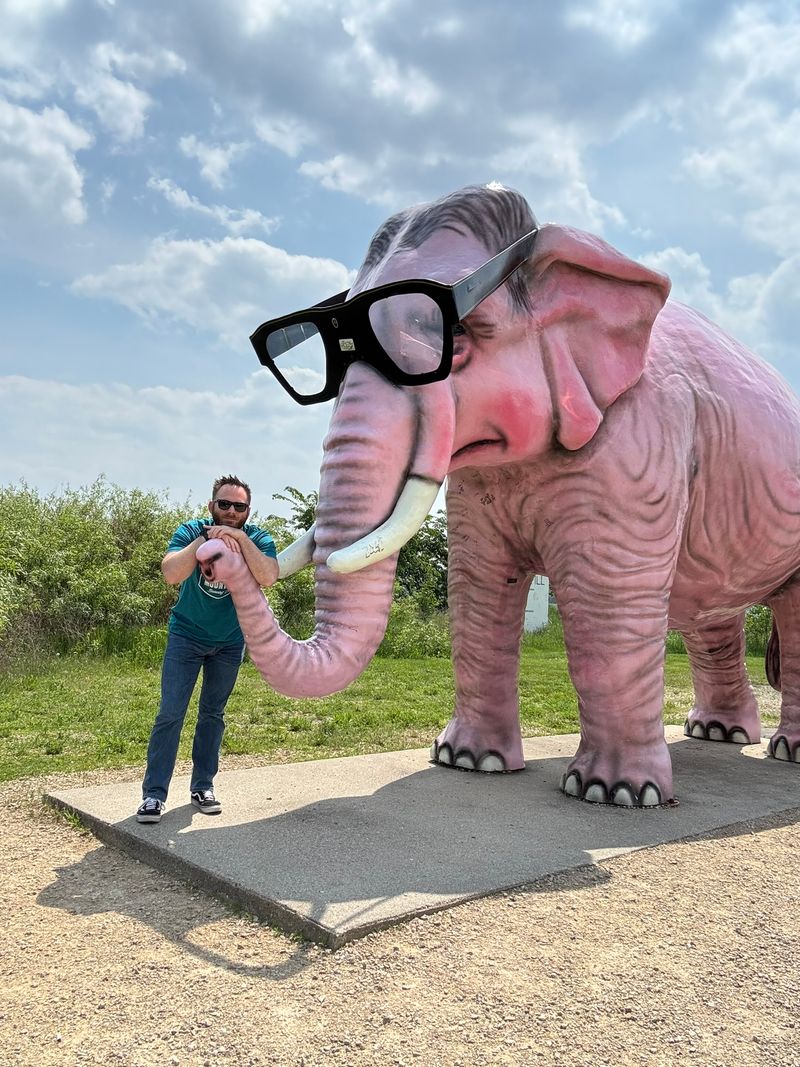 Pinkie the Pink Elephant