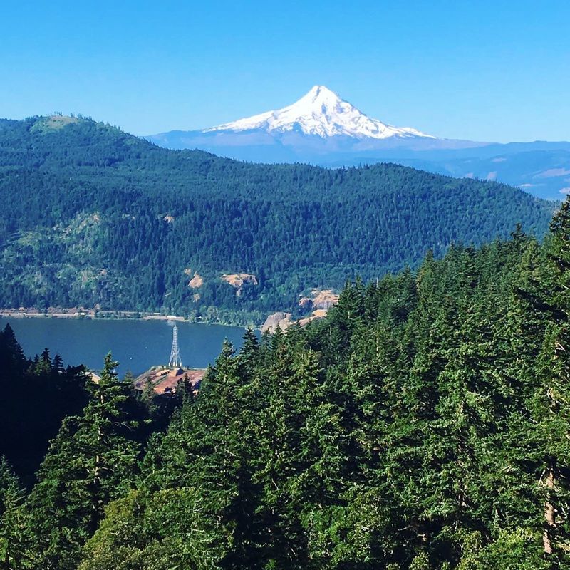 Spectacular Views of Mount Hood and the Columbia River Gorge